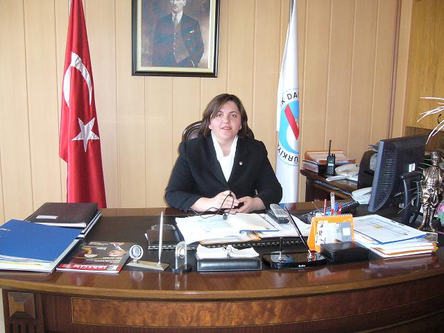 ARAS EDAŞ ÖDENEK BEKLİYOR